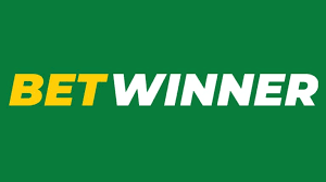Comprehensive BetWinner Kazakhstan Guide Enhance Your Betting Experience